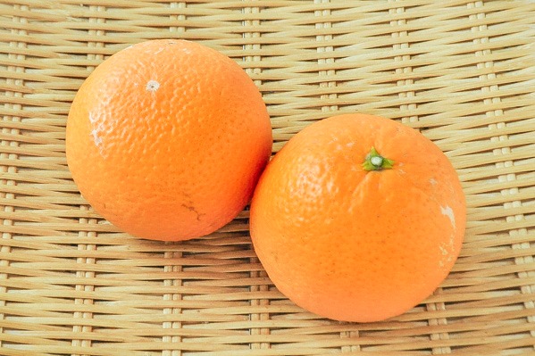 清見オレンジ（3L）