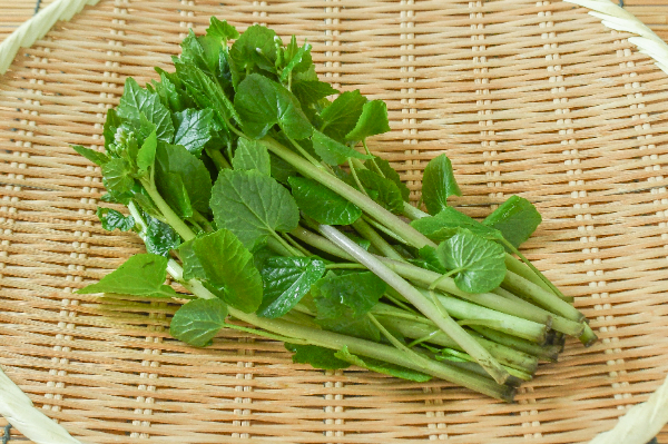 花わさび　100gr
