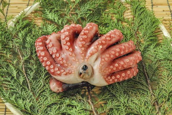 タコ 冷蔵 冷凍 八面六臂