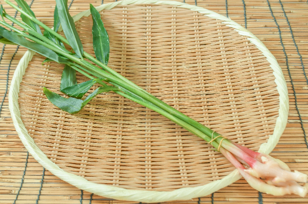 まこもだけ（M） 【業務用食材の仕入れなら八面六臂】