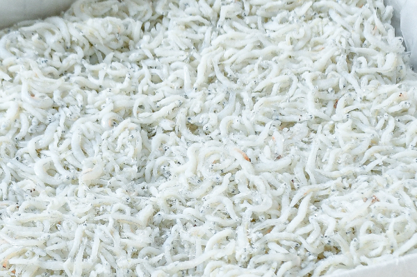 釜揚げしらす