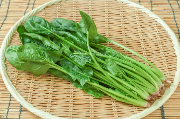 たんとファームさんのほうれん草
